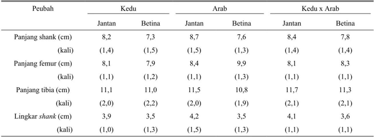 Tabel 5. Rataan panjang shank, lingkar shank, panjang femur dan panjang tibia ayam Kedu, Arab dan Kedu x Arab pada umur 84  hari dan perkembangannya dihitung terhadap peubah yang sama pada umur 32 hari 
