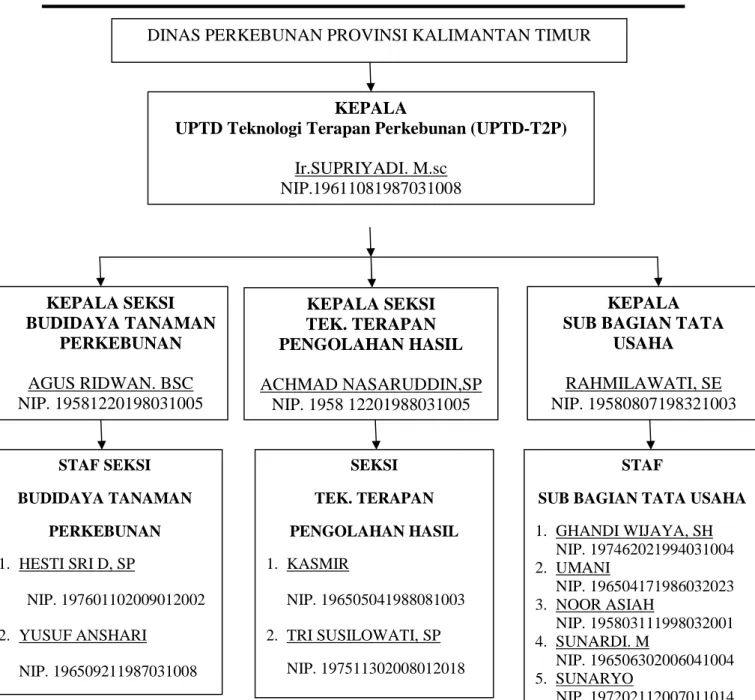 Gambar 1. Struktur organisasi 