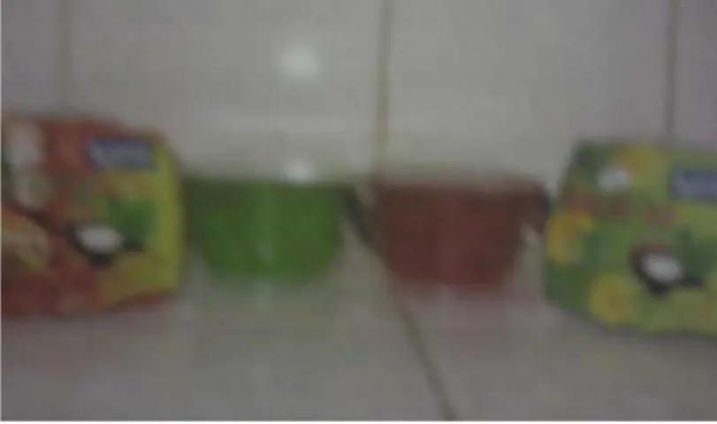 Gambar 1.5 Nata De Coco Big Cup  1.5.6   Proses Produksi 