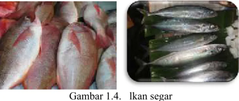 Gambar 1.4.   lkan segar              