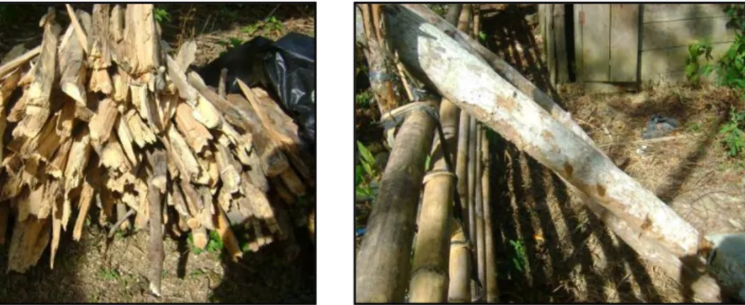 Gambar 8  (a) kayu bakar yang dikeringkan, (b) batang kayu yang belum dipotong  Tumbuhan  penghasil  kayu  bakar  terdiri  dari  5  spesies  tumbuhan  yang  terbagi  kedalam  3  famili  tumbuhan