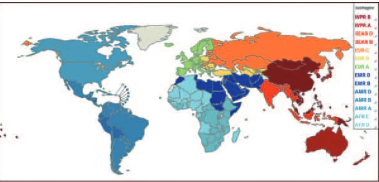Figure 1: Categorization of subgroups under WHO regions for estimation of global burden of foodborne diseases