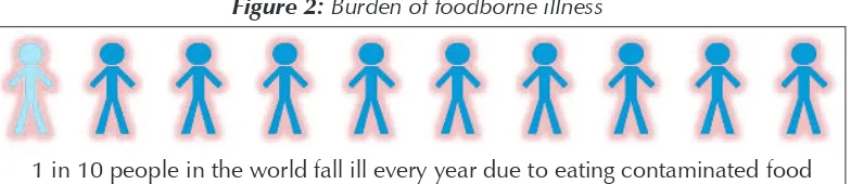 Figure 2: Burden of foodborne illness