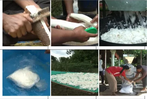 Gambar 3. Proses Pembuatan Mocaf di Desa Bajaronggi  Kelayakan Agribisnis Ubikayu  menjadi Mocaf 