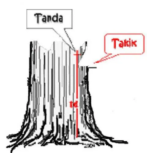 Gambar 4.  Ilustrasi penandaan pada pohon Sumber : Asy’ari dkk. ������ 
