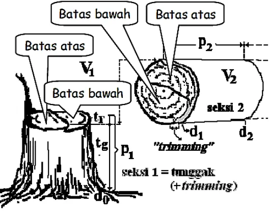 Gambar 11.  Batas atas batas bawah bontos 