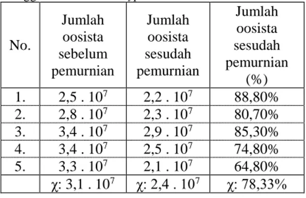 Tabel 2. Prosentase oosista Eimeria tenella bersporulasi  yang  berhasil  diseparasi  dari  debris  dengan  menggunakan Sodium hypochlorite 13%