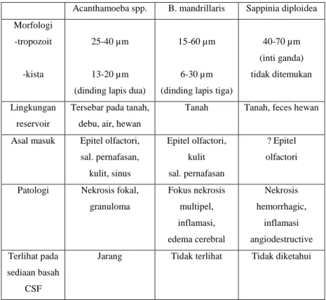 Tabel 1. Perbedaan beberapa spesies amuba penyebab GAE  Acanthamoeba spp.  B. mandrillaris  Sappinia diploidea  Morfologi 