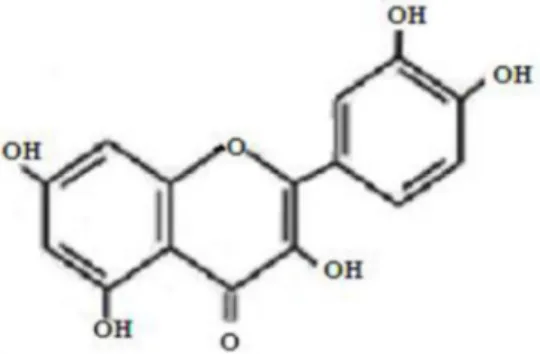 Gambar 2. Struktur Umum Flavonoid