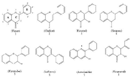 Gambar 4. Struktur kimia dari beberapa jenis flavonoid  (Tapas et al., 2008). 