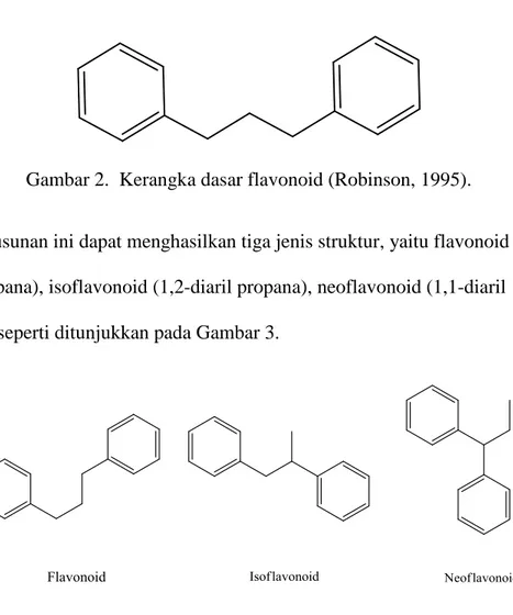 Gambar 2.  Kerangka dasar flavonoid (Robinson, 1995). 