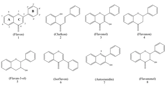 Gambar 4. Struktur kimia dari beberapa jenis flavonoid (Tapas et al., 2008). 