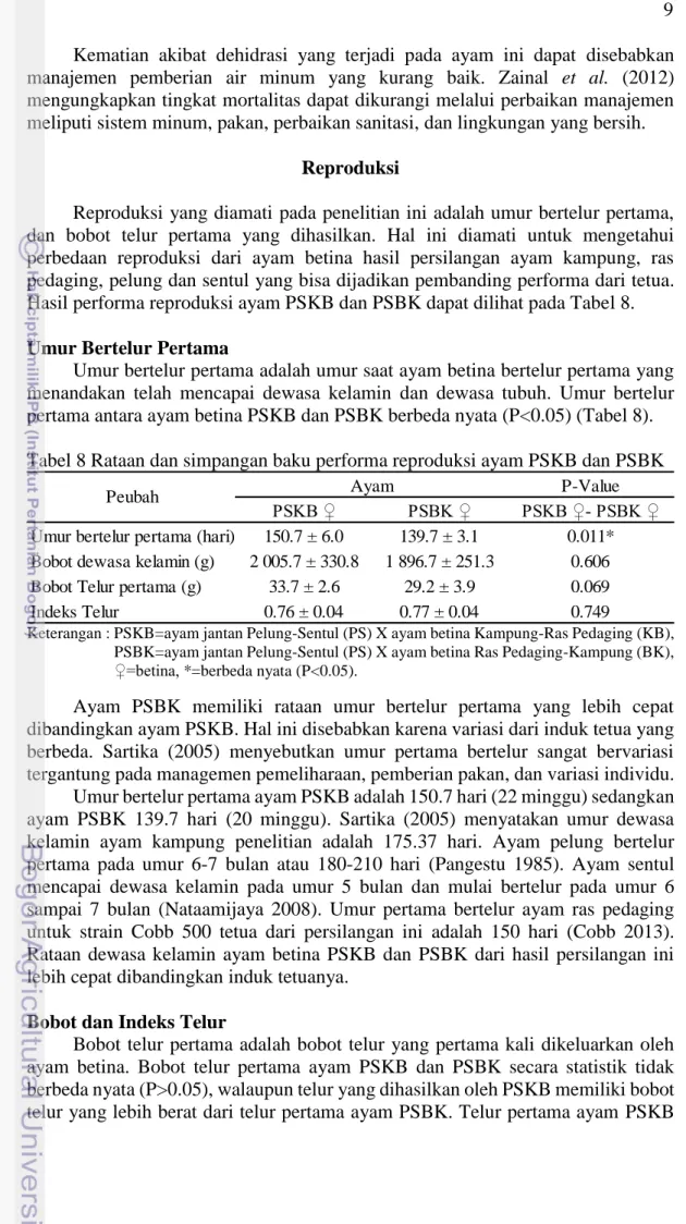 Tabel 8 Rataan dan simpangan baku performa reproduksi ayam PSKB dan PSBK 