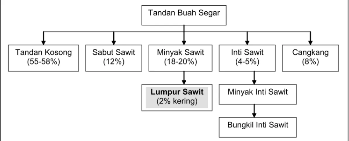 Gambar 1. Bagan Proses Pengolahan Kelapa Sawit dan Perkiraan Proporsi terhadap Tandan  Buah Segar (Batubara, dkk., 2003).