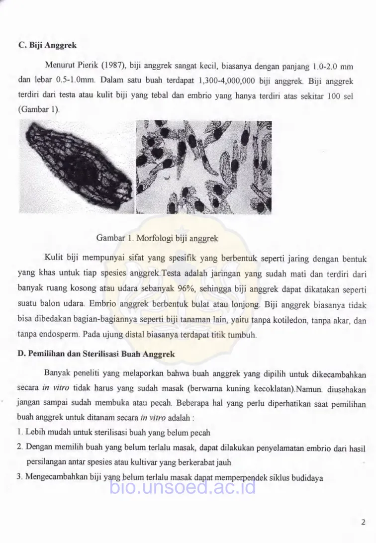 Gambar  1.  Morfologi  biji  anggrek