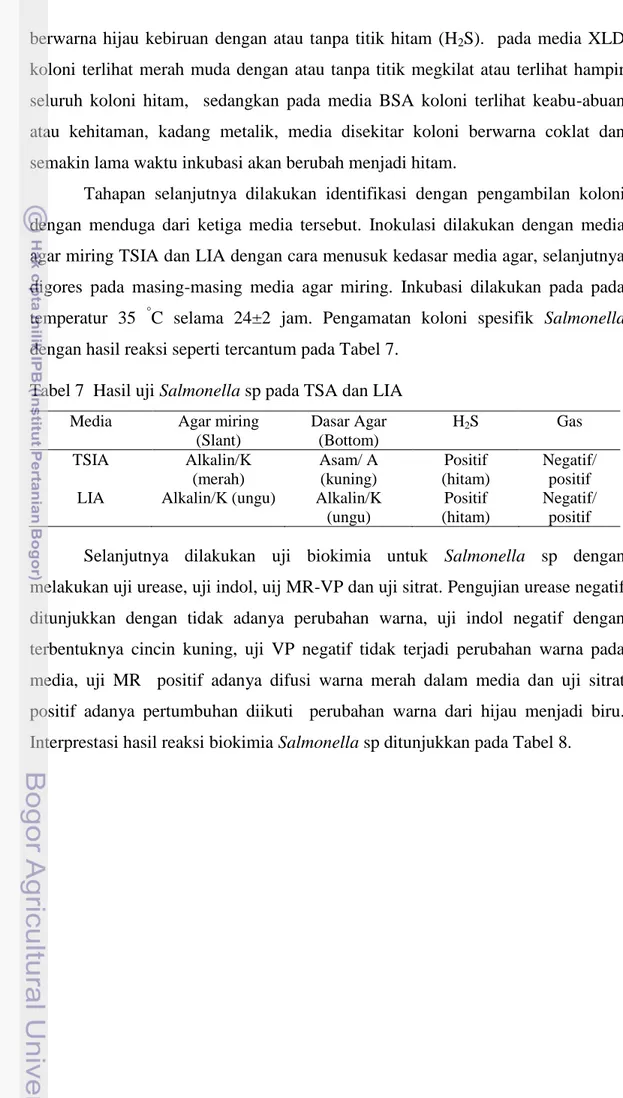 Tabel 7  Hasil uji Salmonella sp pada TSA dan LIA  Media  Agar miring 