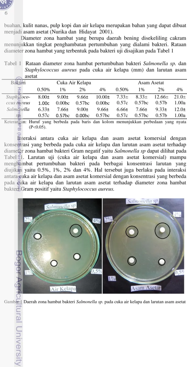 Gambar 1 Daerah zona hambat bakteri Salmonella sp. pada cuka air kelapa dan larutan asam asetat 