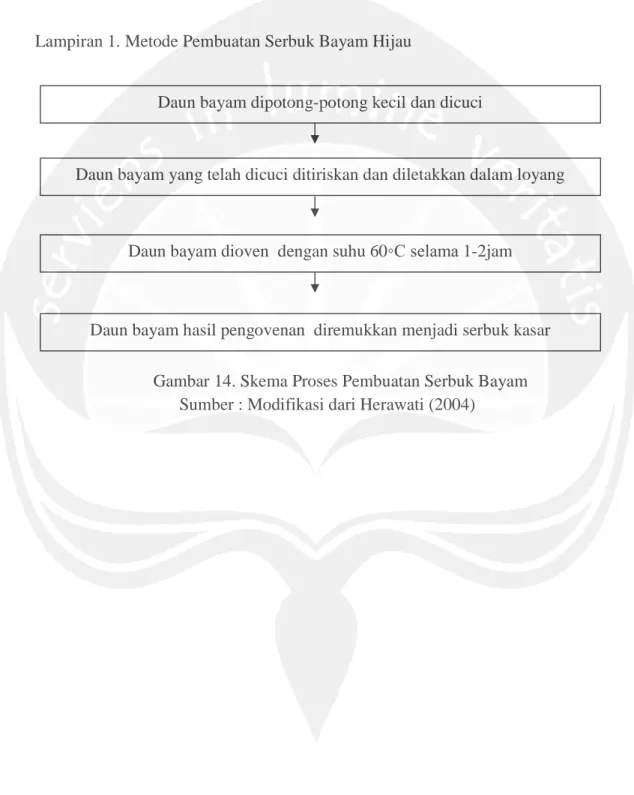 Gambar 14. Skema Proses Pembuatan Serbuk Bayam Sumber : Modifikasi dari Herawati (2004)