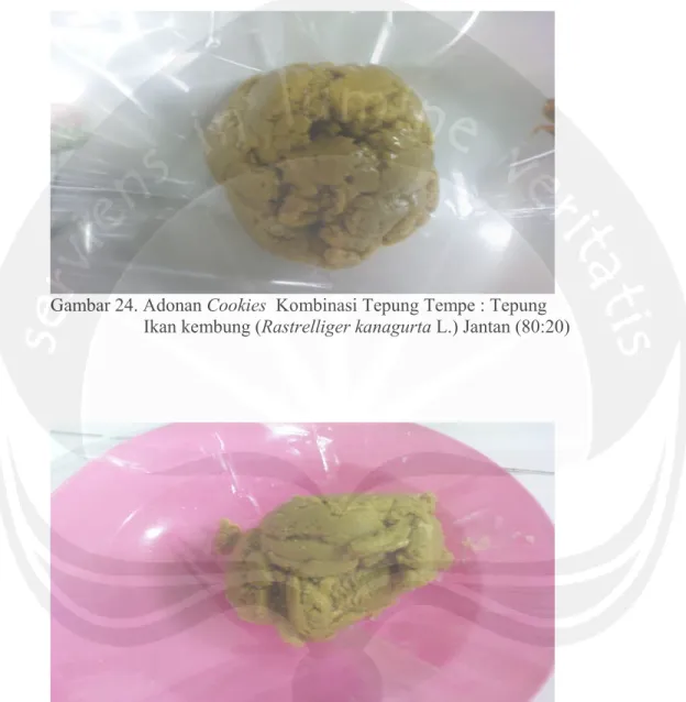 Gambar 24. Adonan Cookies  Kombinasi Tepung Tempe : Tepung                       Ikan kembung (Rastrelliger kanagurta L.) Jantan (80:20) 
