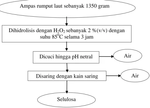 Gambar 8.  Diagram alir pemurnian selulosa dari ampas Eucheuma cottonii  Sumber:  Hidayati (2000, dengan modifikasi) 