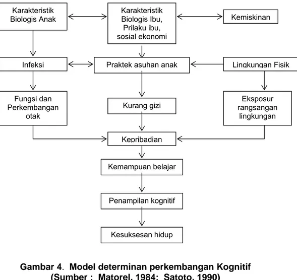 Gambar 4.  Model determinan perkembangan Kognitif  (Sumber :  Matorel, 1984;  Satoto, 1990) 