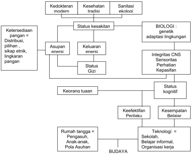 Gambar 6.  Model Ekologis 
