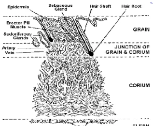 Gambar 2. Sharphouse (1995) 