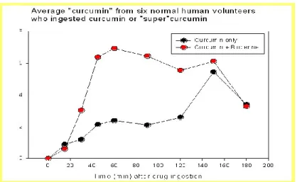 Gambar 2. Grafik peningkatan bioavalabillitas curcumin dengan ajuvan piperin  (Anand et al, 2007) 