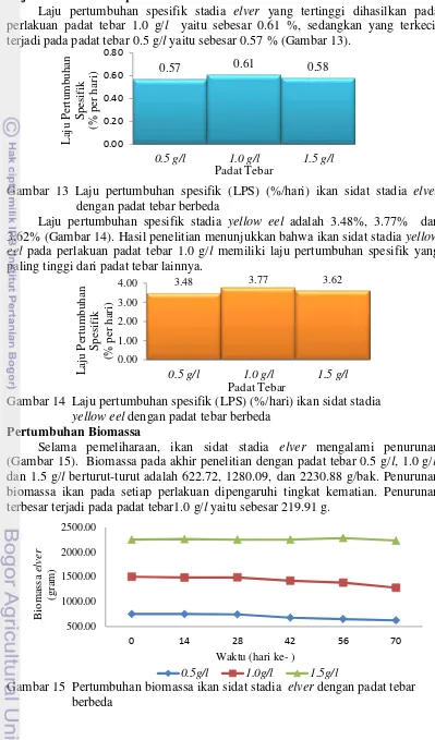 Gambar 13 Laju pertumbuhan spesifik (LPS) (%/hari) ikan sidat stadia elver 