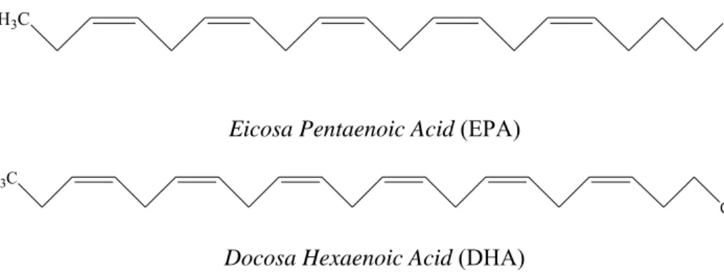 Gambar 3. struktur EPA dan DHA ( http://www.psr.org ) 