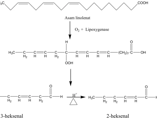 Gambar 7. Reaksi oksidasi oleh enzim lipoksigenase (http://www.case.edu/artsci  /chem/faculty/salomon/Mechanisms.htm) H2COHCOH2COCCCOOOR1R2R3H2C OHHCOHH2COH C O R 1HOCOR2HOCOR3HOENZIM LIPASE+