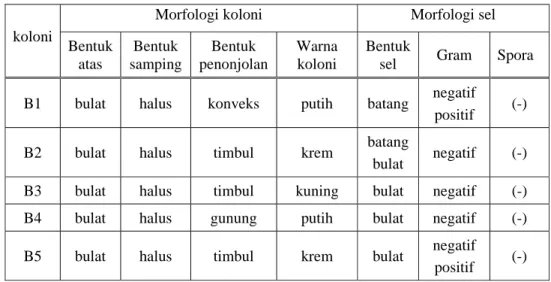 Tabel 4.  Morfologi koloni dan sel dari koloni terpilih. 