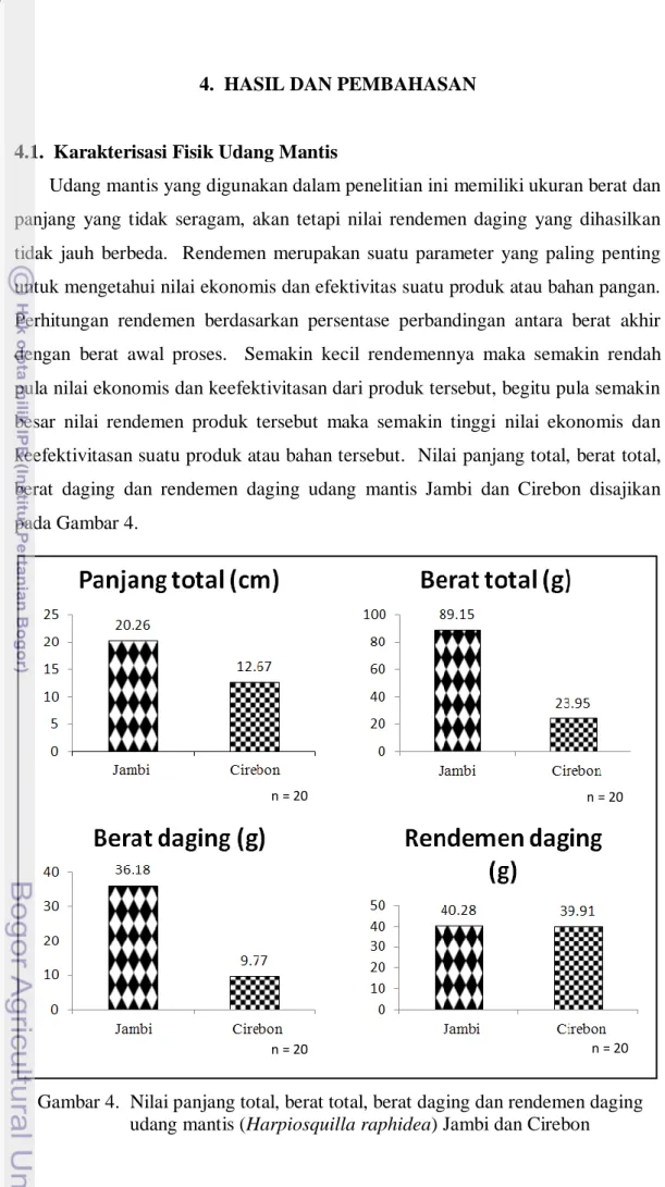 Gambar 4.  Nilai panjang total, berat total, berat daging dan rendemen daging  udang mantis (Harpiosquilla raphidea) Jambi dan Cirebon 
