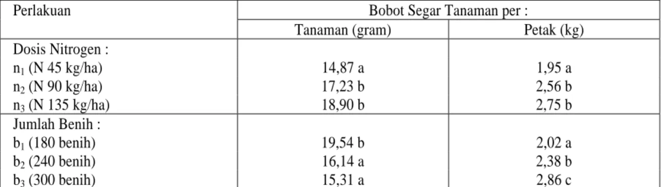 Tabel 5.  Pengaruh Tunggal Pupuk Nitrogen dan Jumlah  Benih per  Meter Persegi Terahadap Bobot Segar per  Tanaman dan per Petak