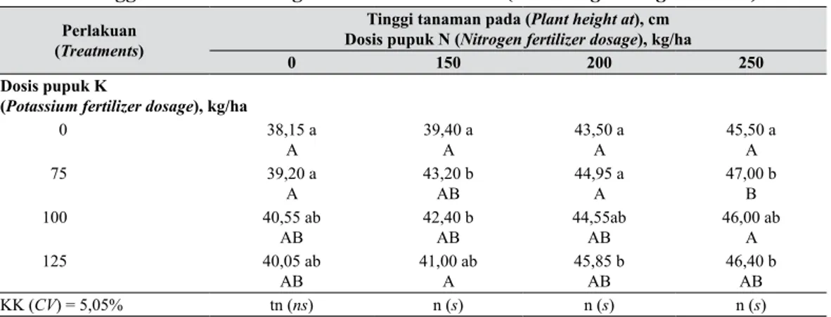 Tabel  3  memperlihatkan  bahwa  interaksi  pupuk  N  dan  K  tidak  nyata  terhadap  jumlah  tanaman yang tumbuh per plot, jumlah anakan  per  rumpun,  diameter  umbi,  jumlah  umbi  per  rumpun, dan jumlah umbi per plot