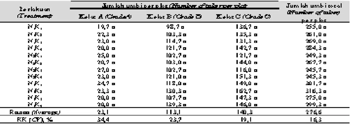 Tabel 4.  Pengaruh perlakuan terhadap jumlah umbi (Effect of treatment on number of tuber), Lembang  2004 