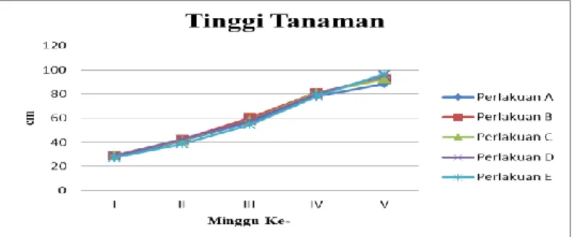 Gambar 1. Grafik Tinggi Tanaman Tomat  