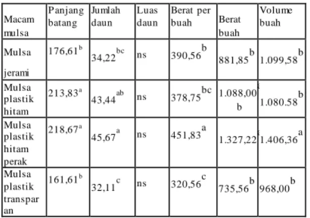 Tabel 2. Macam mulsa pada panjang batang,  jumlah daun, luas daun, berat per buah, berat  buah dan volume  buah  