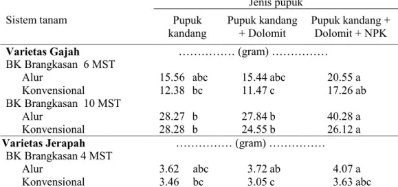 Tabel 8 Rata-rata bobot kering (BK) brangkasan kacang tanah varietas Gajah dan  Jerapah hasil interaksi sistem tanam dan jenis pupuk  