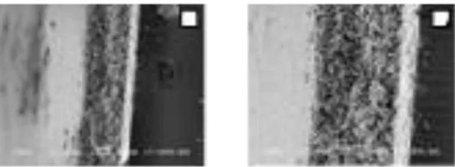 Gambar 5. Morfologi permukaan lapis tipis TiO 2  dengan  (a) pembesaran 5000x dan (b) pembesaran 40000x  