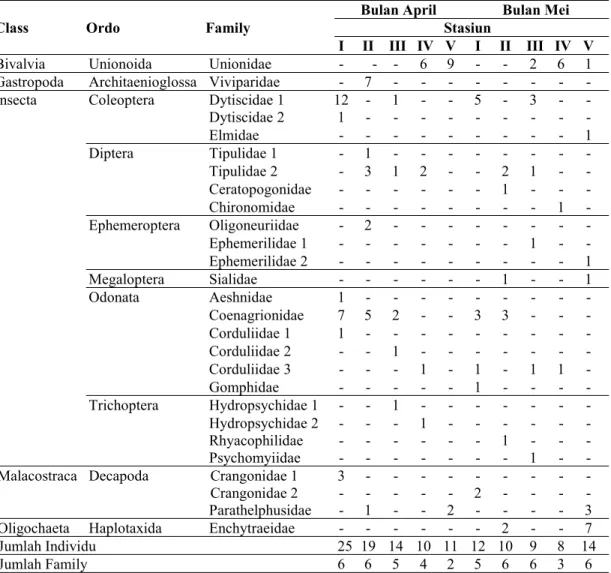 Tabel 2. Jumlah dan jenis makrozoobenthos yang ditemukan di lima stasiun pengamatan Sungai Tutupan.