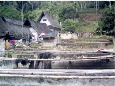 Gambar 3.8 Kolam ikan di Kampung Naga merupakan bagian dari kawasan  kotor 