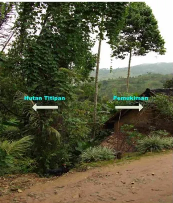 Gambar 3. 8 Batas antara hutan titipan dengan pemukiman 