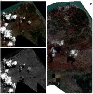 Gambar 4.1 Citra Pleiades 1A (a) multispektral, (b) pankromatik,  (c) hasil pansharpening 