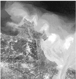 Gambar 5. Tampilan Citra Landsat ETM 7 