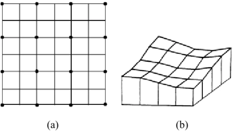 Gambar I.11. Ilustrasi pembentukan model grid dari titik observasi yang tidak  beraturan (Matarozzo, 2004) 