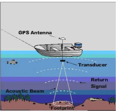 Gambar 3.5 Proses Singlebeam Echosounder. (Bambang Triatmodjo, 2008)  2)  Multibeam  Echosounder 
