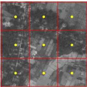 Gambar  3.9  mengilustrasikan  penyebaran  titik-titik  pengamatan  pada  sampel segmen terpilih yang berukuran 300 m x 300 m
