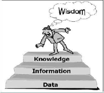Gambar 1. Hirarki Data, Informasi,  Knowledge dan Wisdom [5]