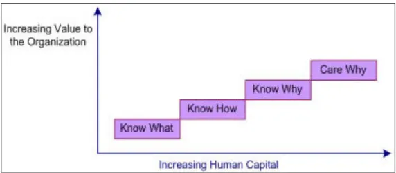 Gambar 2.1 Level Operasional dari definisi Knowledge (Carl Davidson and  PhilipVoss, 2003) 